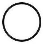 Pentek #10 Hot Water O-Ring #241 Viton